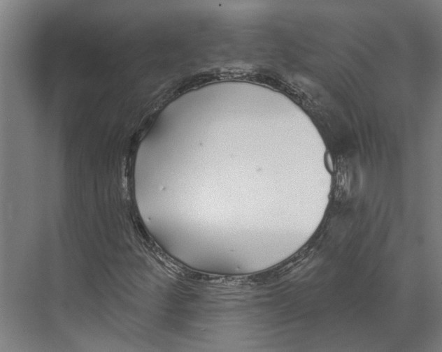 X0000073521252200608281724