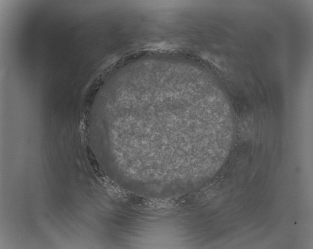 X0000073521254200608281724