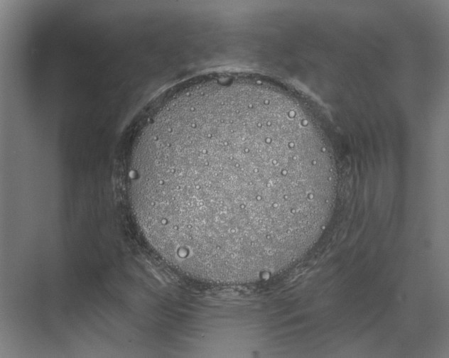 X0000073521255200608281724