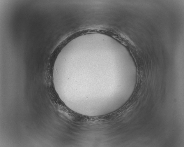 X0000073521256200608281724