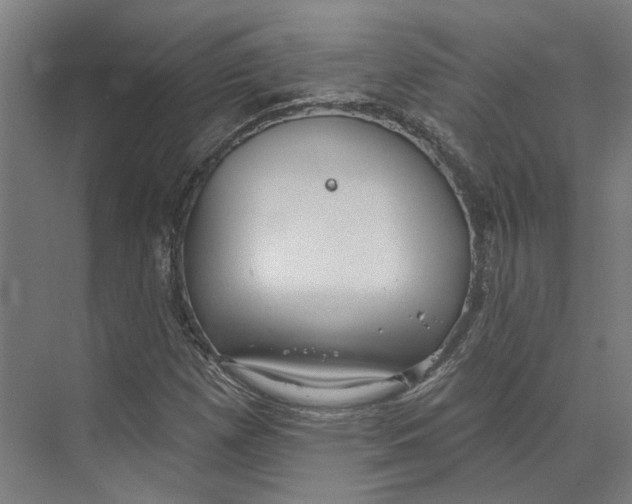 X0000073521257200608281724