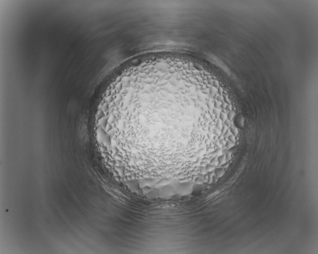 X0000073521259200608281724