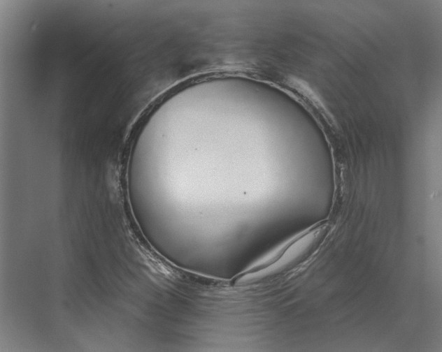 X0000073521260200608281724