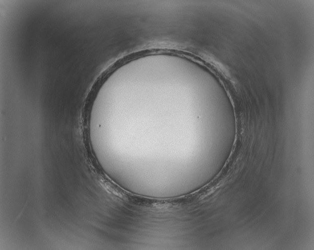 X0000073521264200608281724