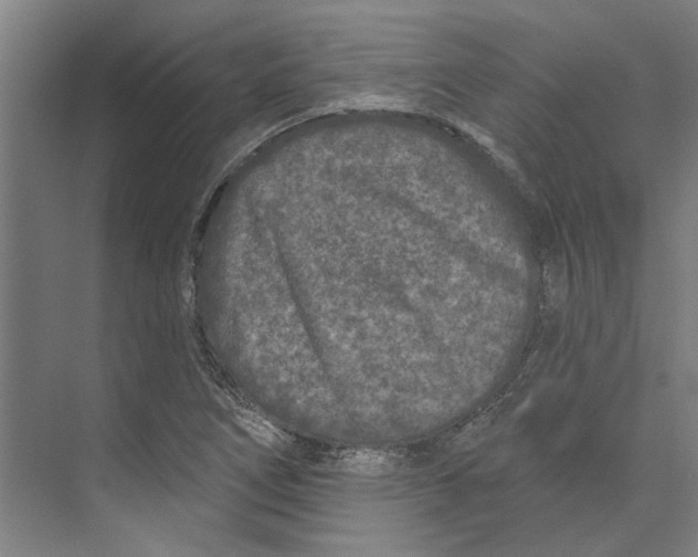 X0000073521266200608281724