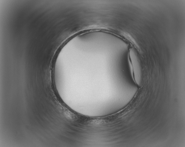 X0000073521268200608281724