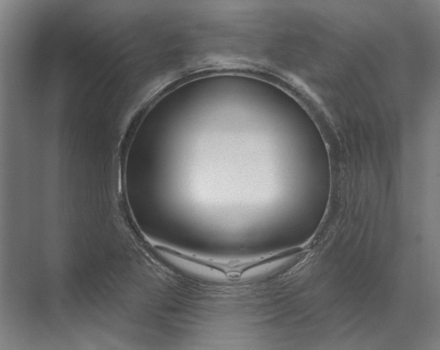 X0000073521269200608281724