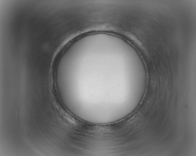 X0000073521270200608281724