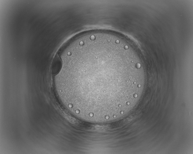 X0000073521271200608281724