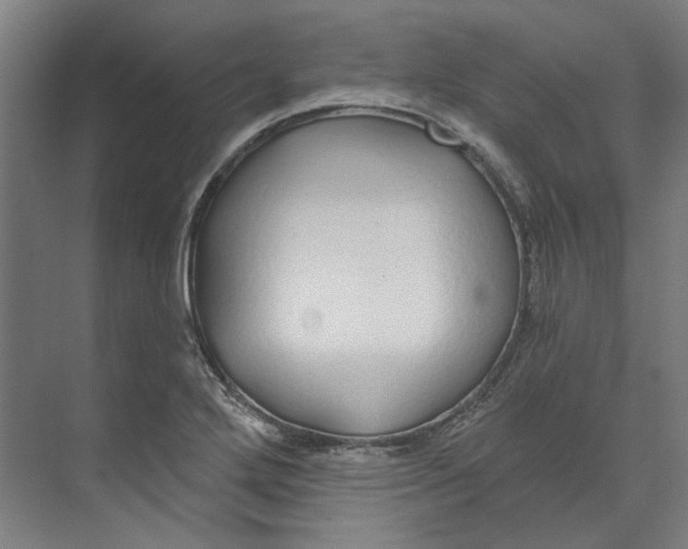 X0000073521272200608281724