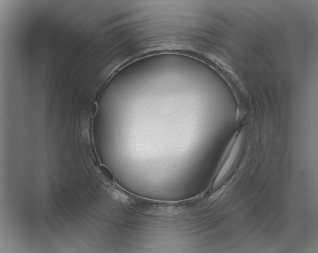 X0000073521273200608281724