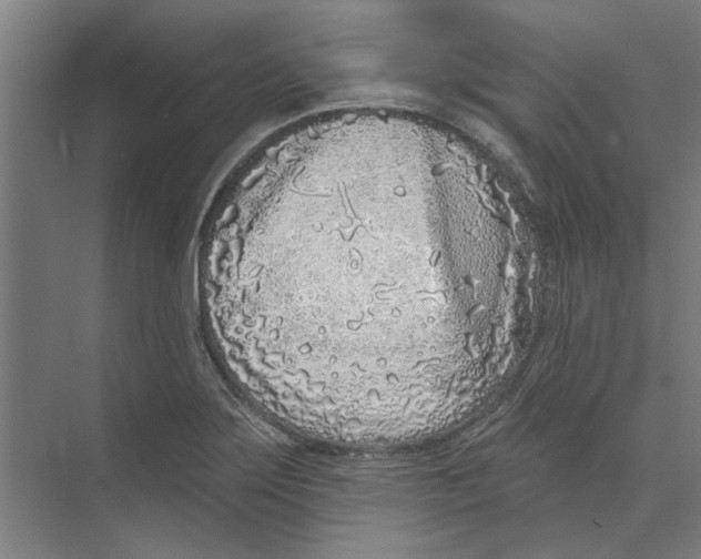 X0000073521275200608281724