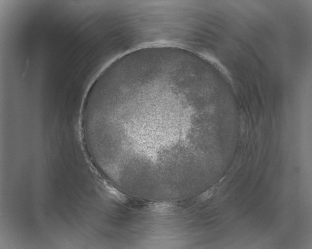 X0000073521278200608281724