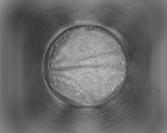 X0000073521279200608281724