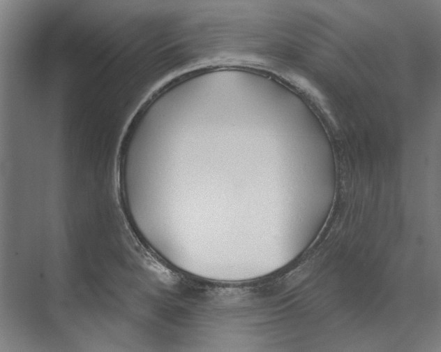 X0000073521280200608281724