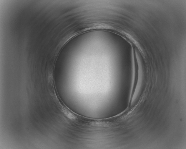 X0000073521281200608281724