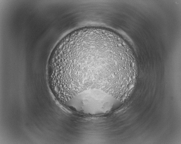 X0000073521287200608281723