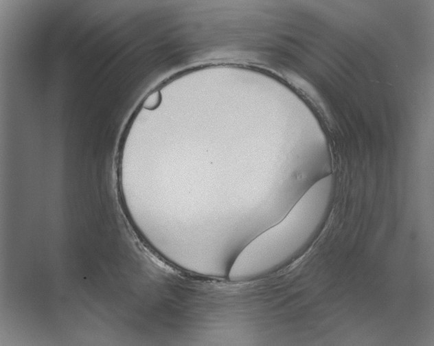 X0000073521288200608281723