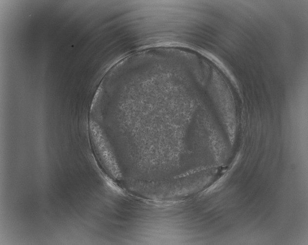 X0000073521289200608281723