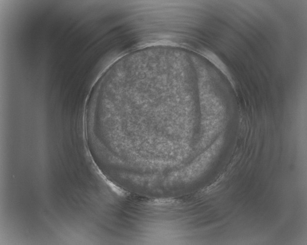 X0000073521290200608281723