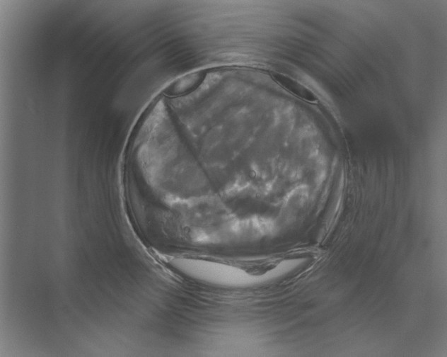 X0000073521291200608281723