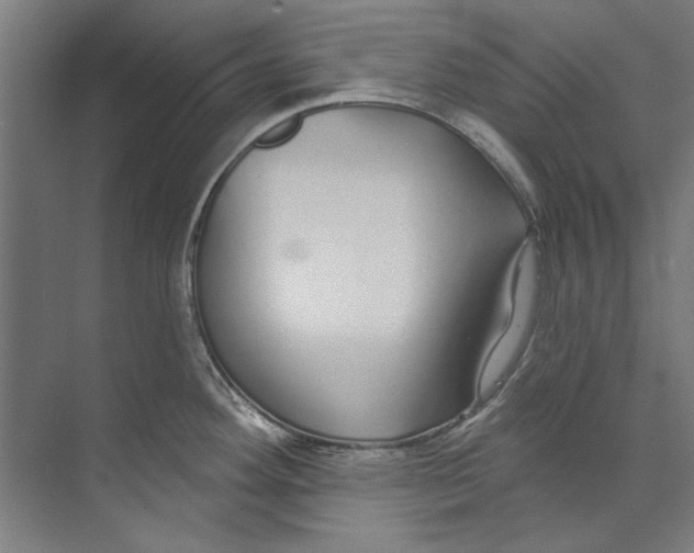 X0000073521292200608281723