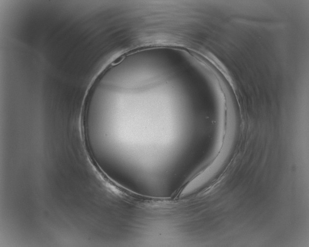 X0000073521293200608281723