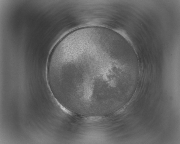 X0000073521294200608281723