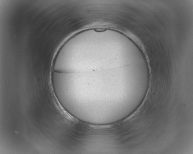 X0000073521296200608281723