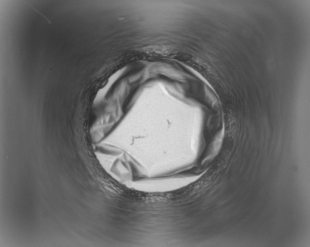 X0000073521297200608281722