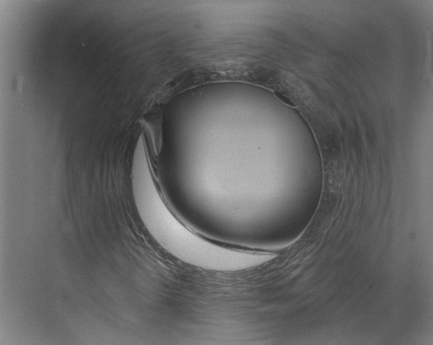 X0000073521298200608281722