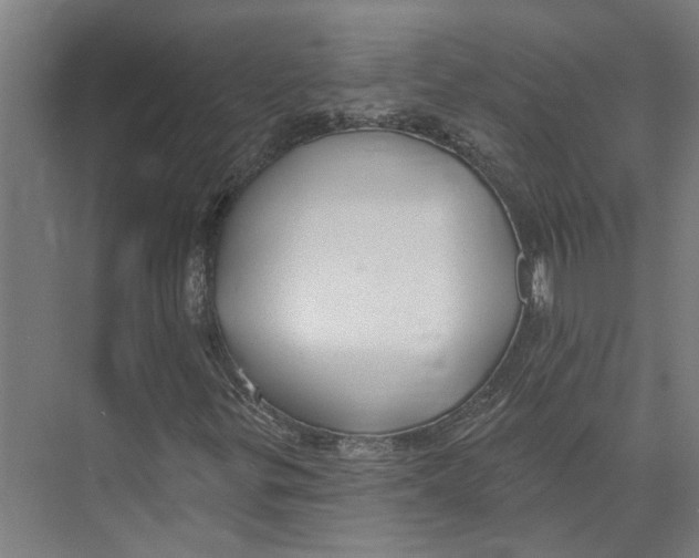 X0000073521299200608281722