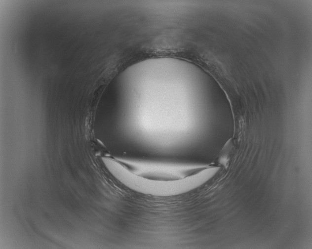 X0000073521300200608281722