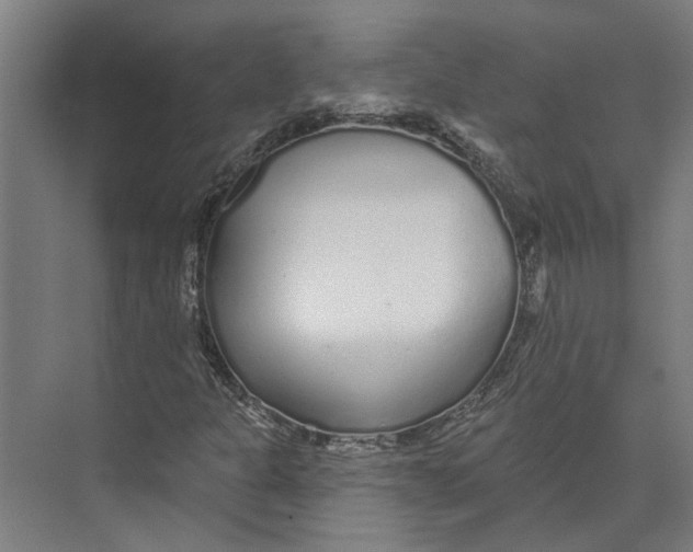 X0000073521301200608281722