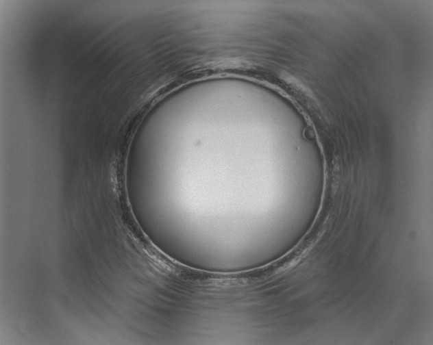 X0000073521305200608281723