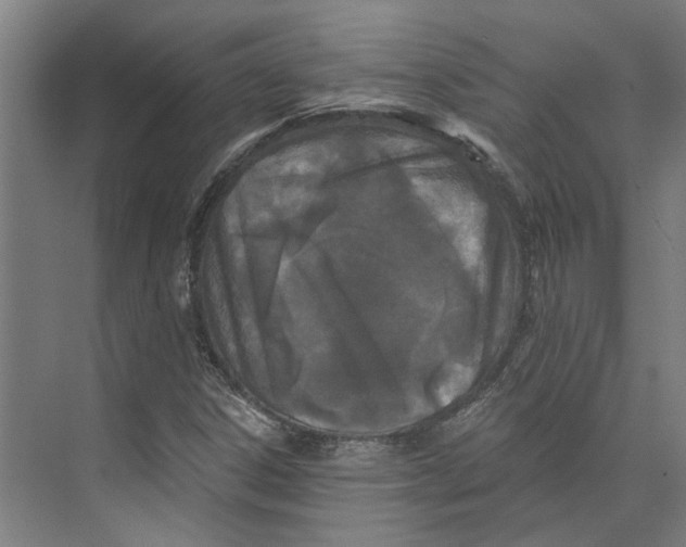 X0000073521306200608281723