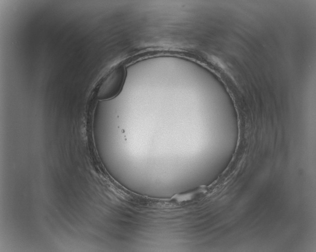 X0000073521307200608281723