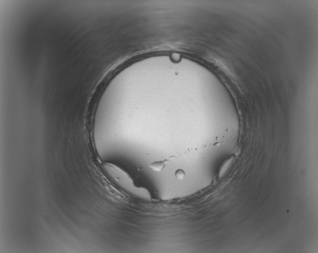 X0000073521308200608281723