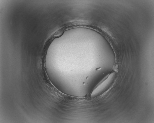 X0000073521309200608281723