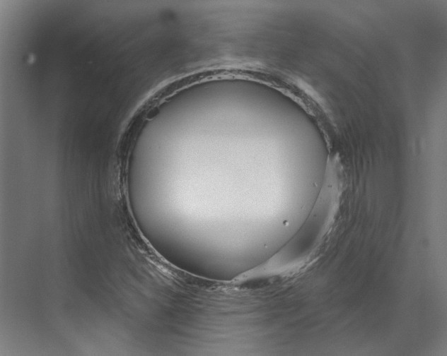 X0000073521310200608281723