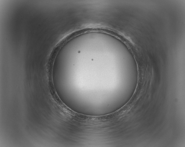 X0000073521311200608281723