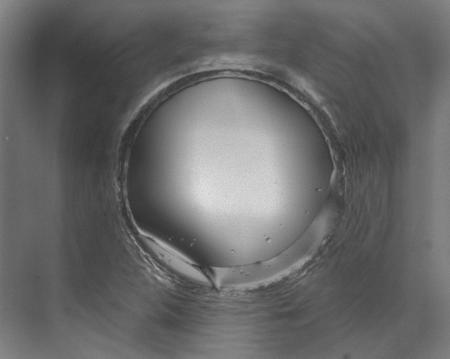 X0000073521312200608281723