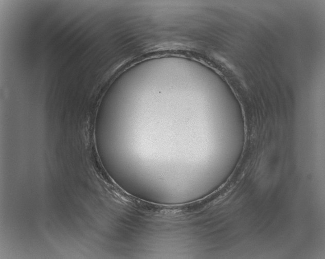 X0000073521313200608281723