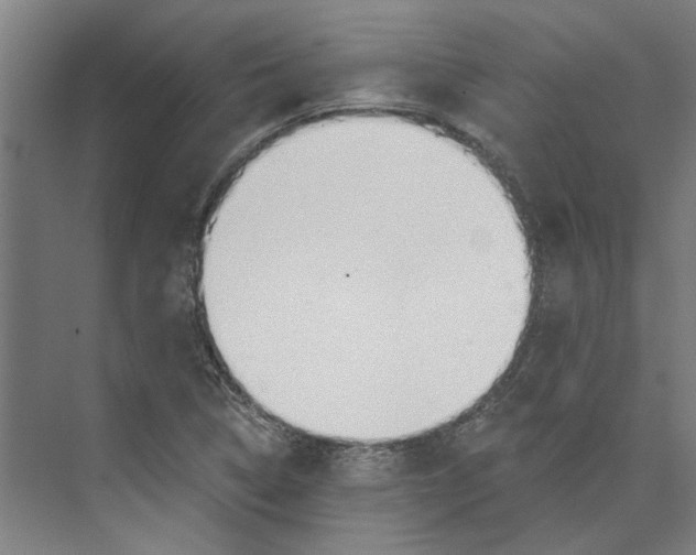 X0000073521314200608281723