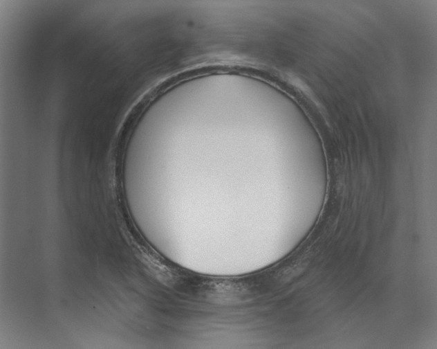 X0000073521318200608281723