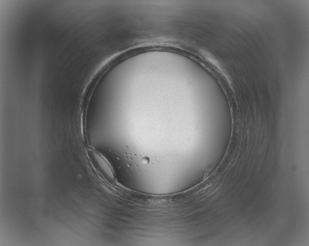 X0000073521320200608281723