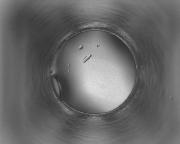 X0000073521321200608281723