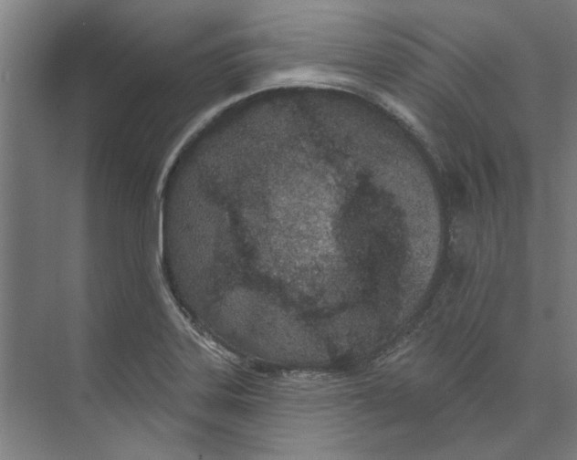 X0000073521323200608281723