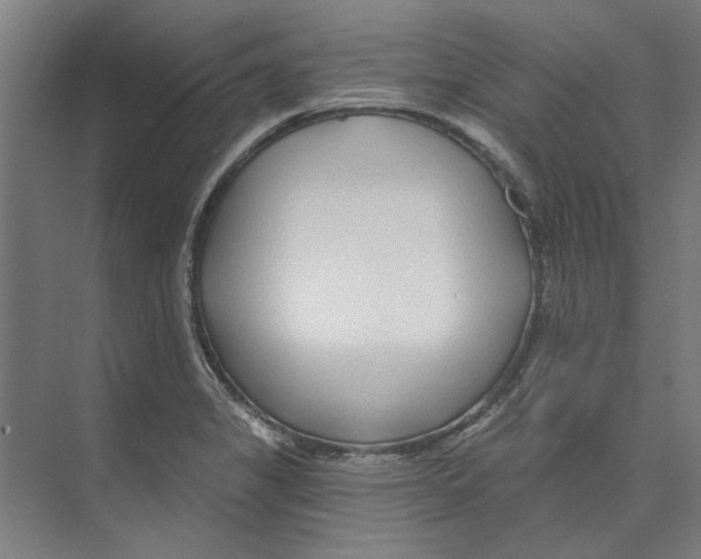 X0000073521325200608281723