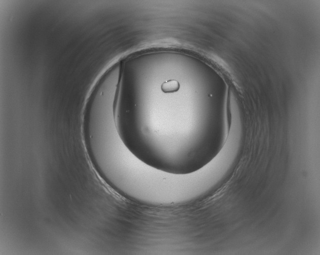 X0000073521326200608281723